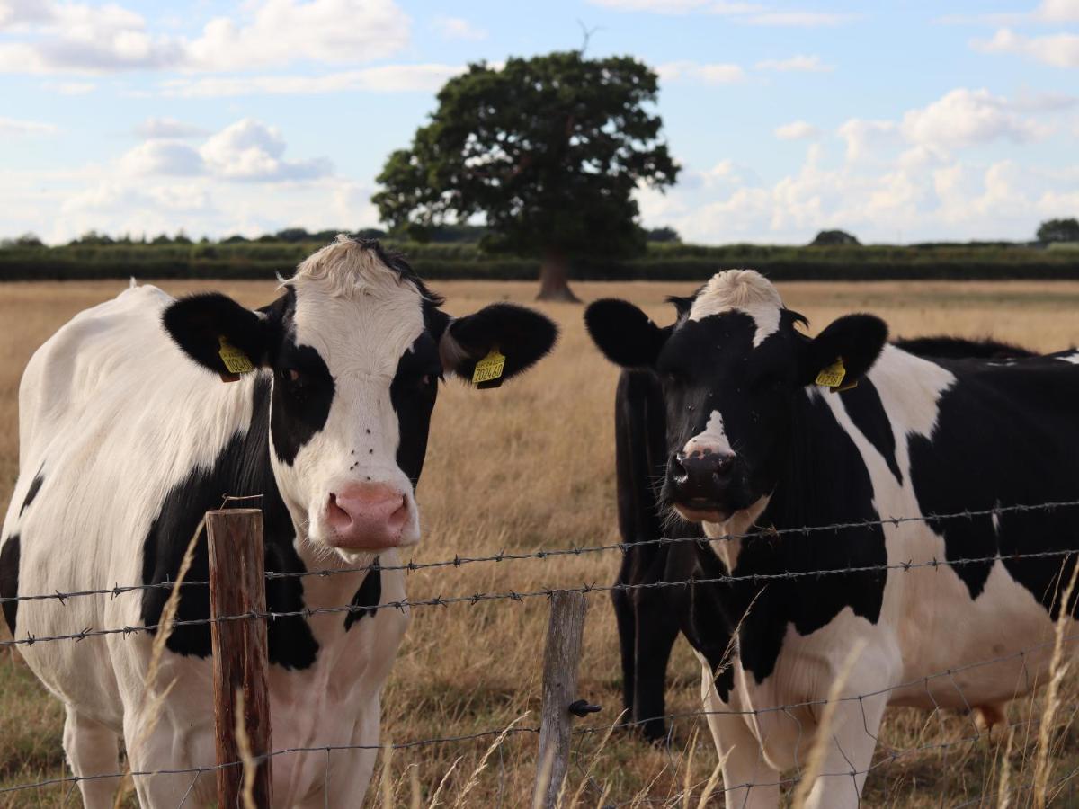 Oxen Cottage Nables Farm Seagry Eksteriør billede