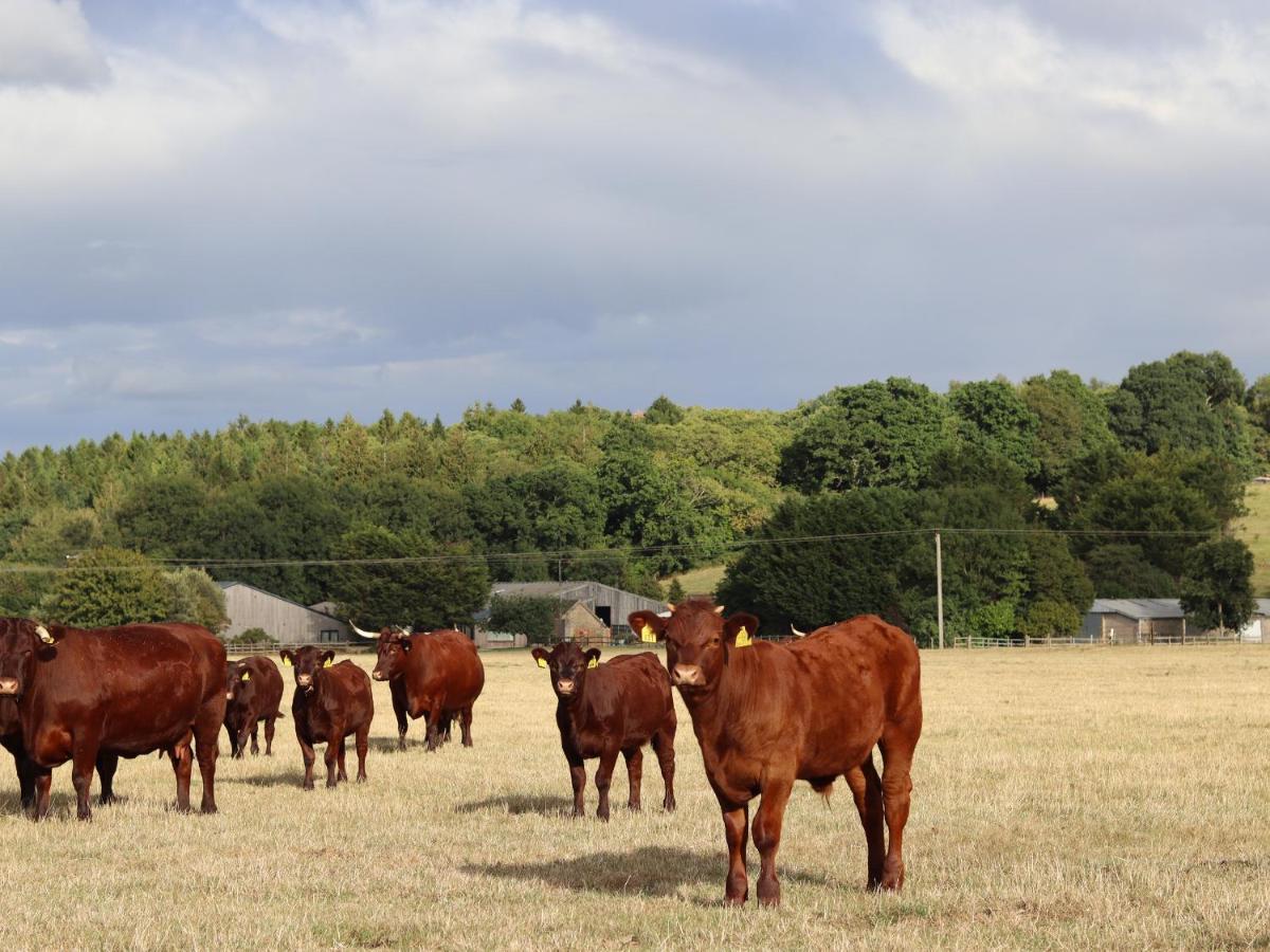 Oxen Cottage Nables Farm Seagry Eksteriør billede