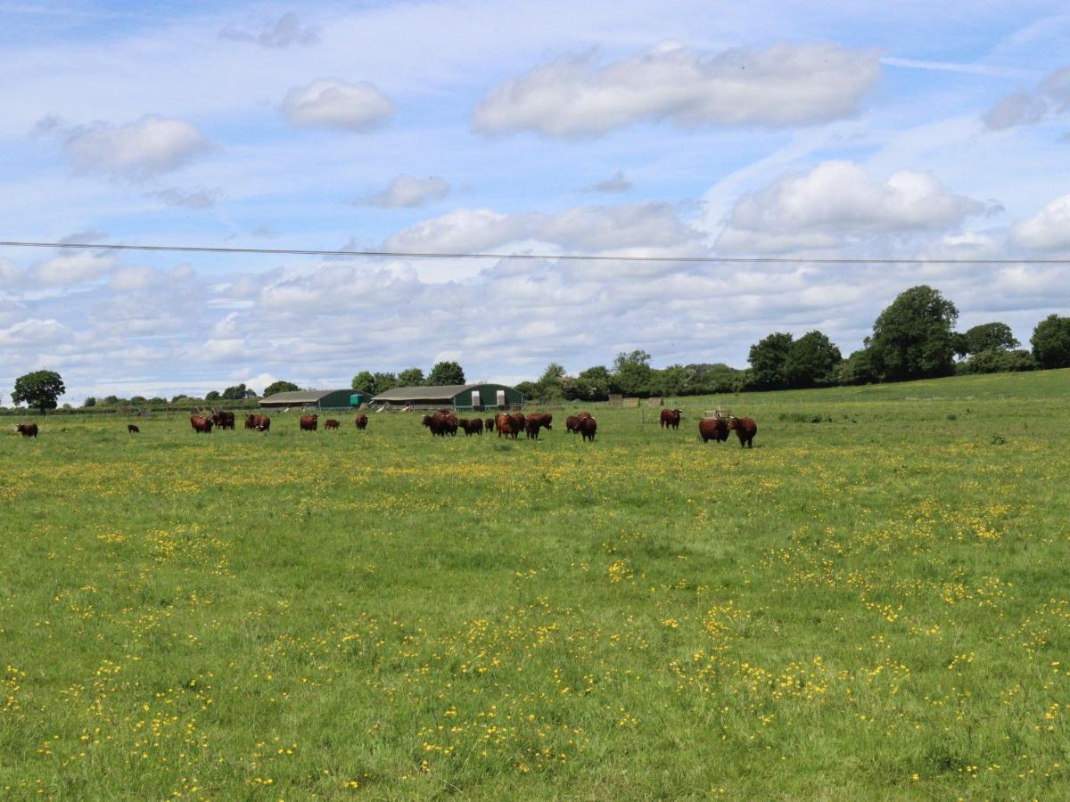 Oxen Cottage Nables Farm Seagry Eksteriør billede