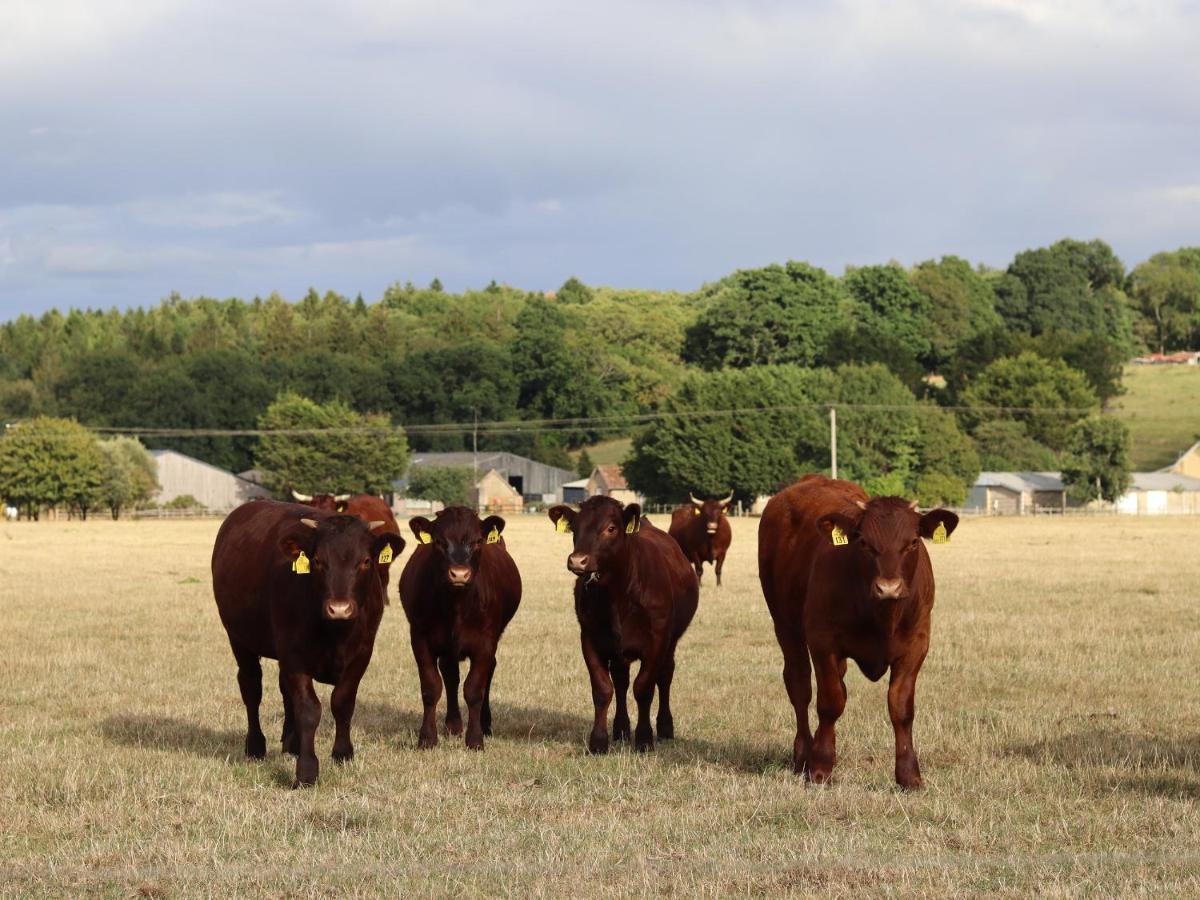 Oxen Cottage Nables Farm Seagry Eksteriør billede