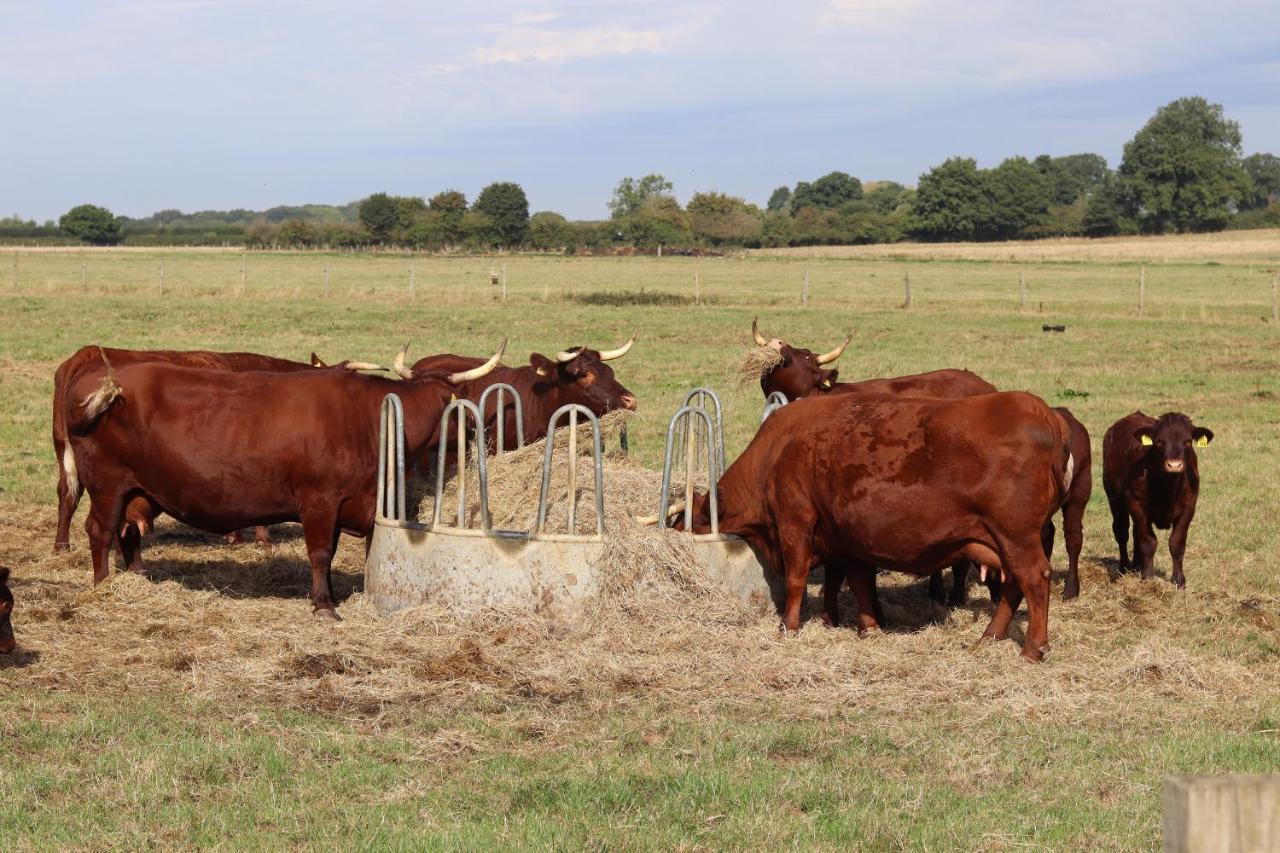 Oxen Cottage Nables Farm Seagry Eksteriør billede