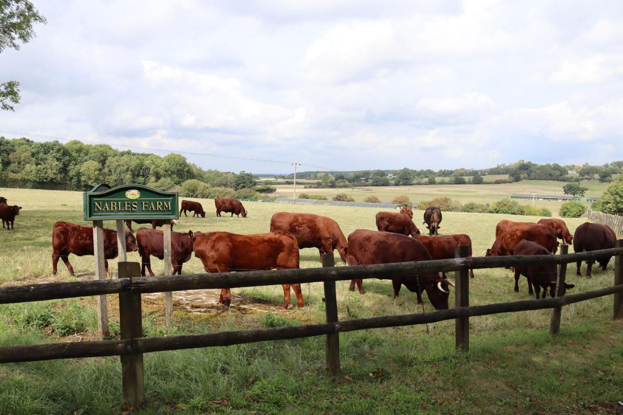 Oxen Cottage Nables Farm Seagry Eksteriør billede