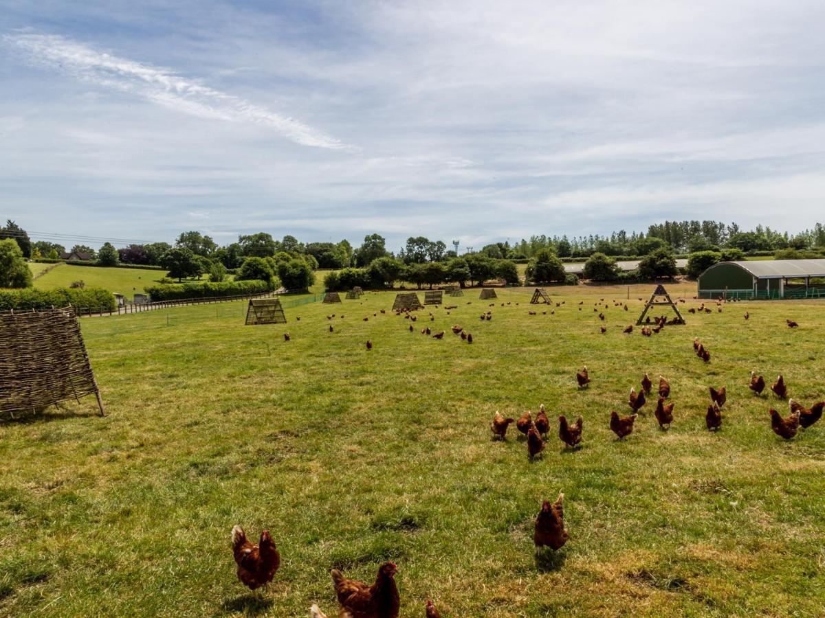 Oxen Cottage Nables Farm Seagry Eksteriør billede